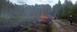 Na zdjęciu widać druhów OSP podczas akcji gaśniczej, palącą się pryzmę drewna oraz wozy strażackie.