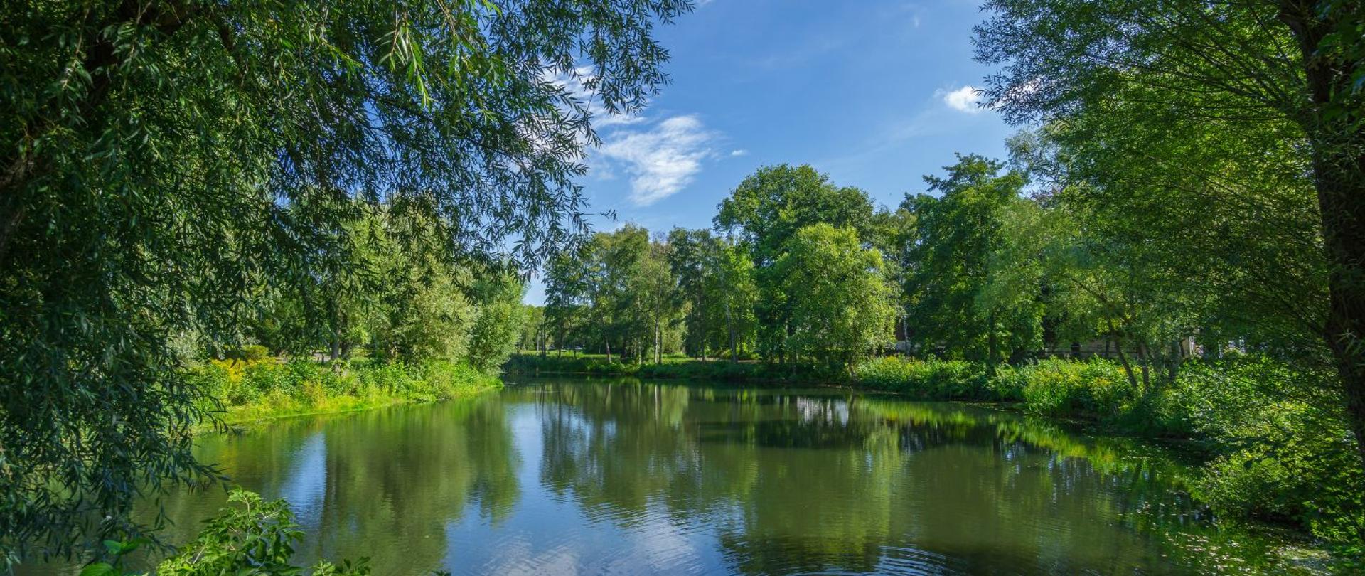 Międzynarodowy Dzień Różnorodności Biologicznej 