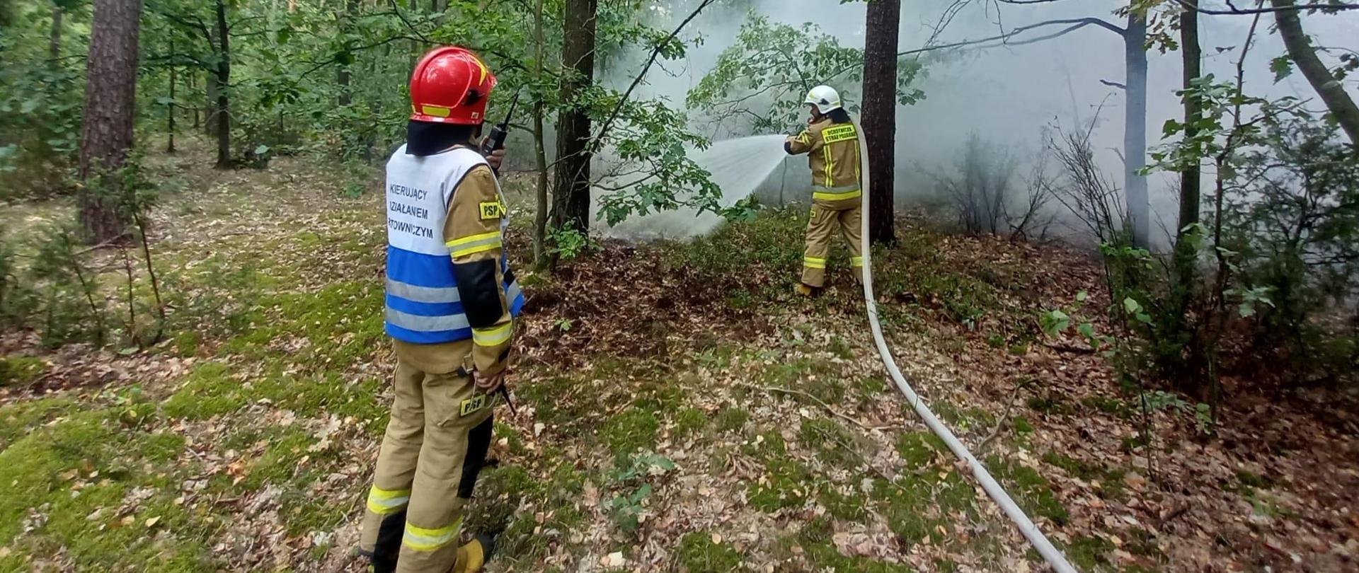 Manewry taktyczne pk. LAS 2024 z udziałem Kompanii Gaśniczej Mława