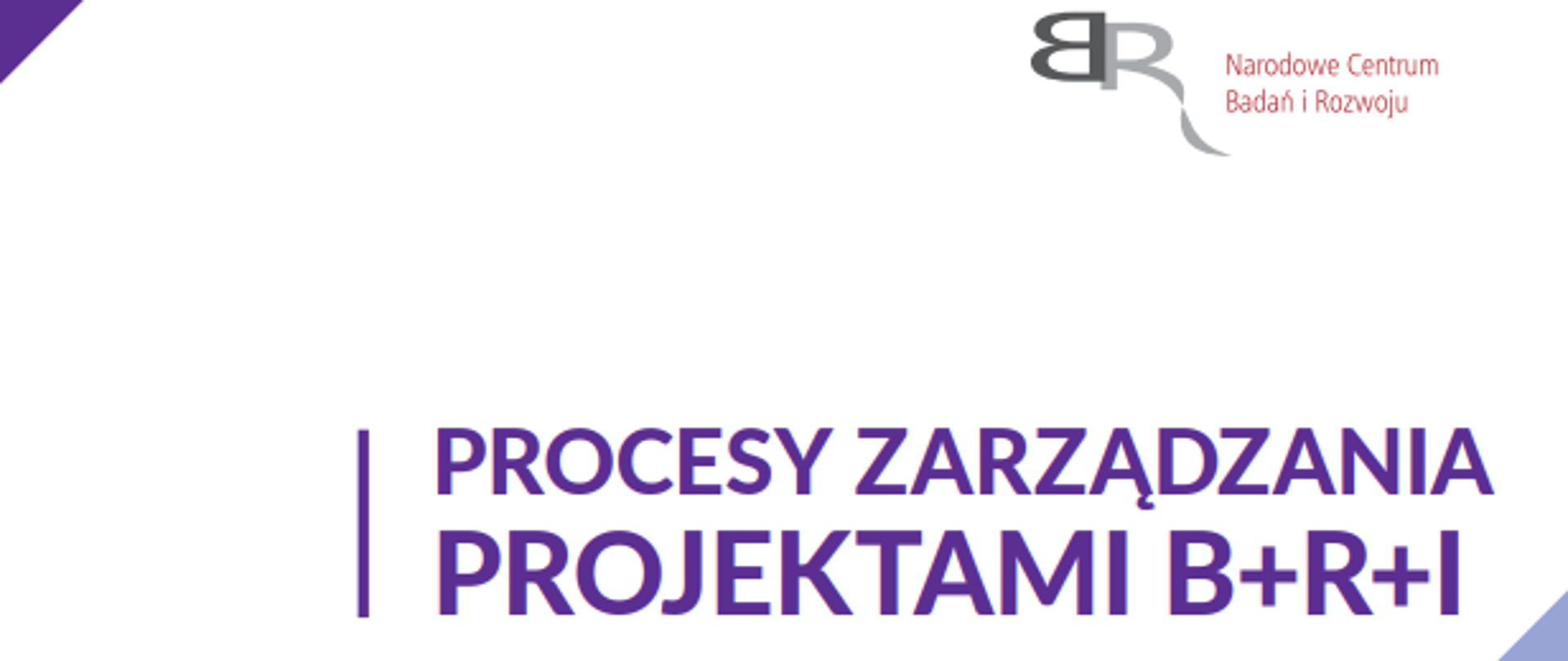 Biało - fioletowy baner raportu z badania procesy zarządzania projektami B+R+I