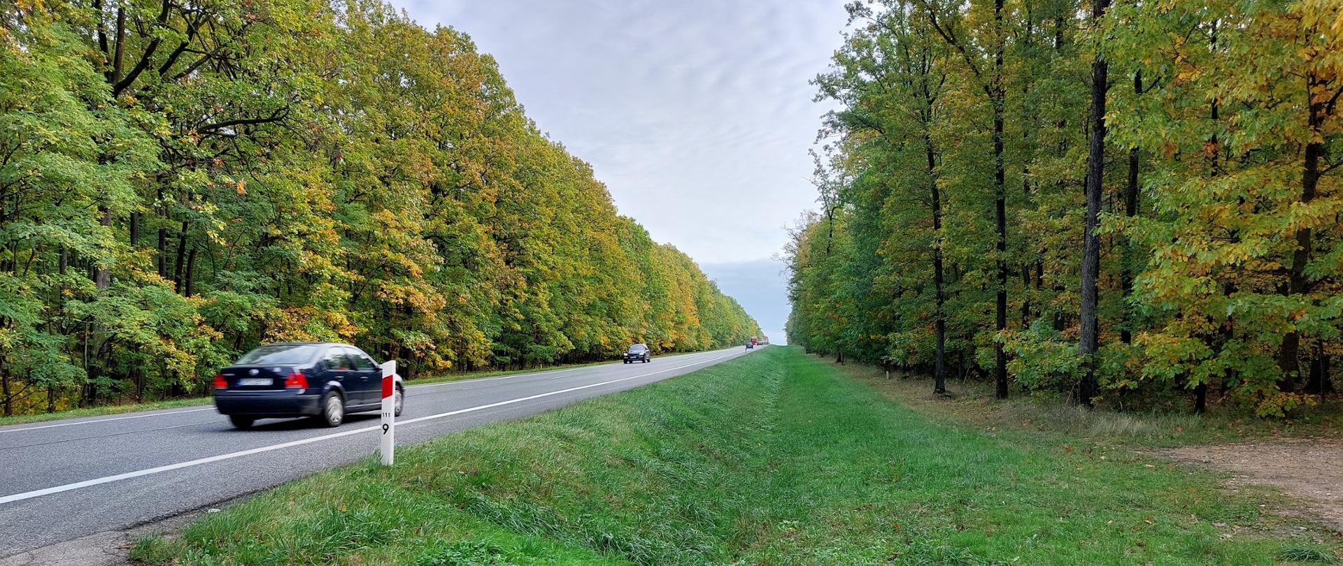 Fragment DK46 Dębska Kuźnia - Schodnia