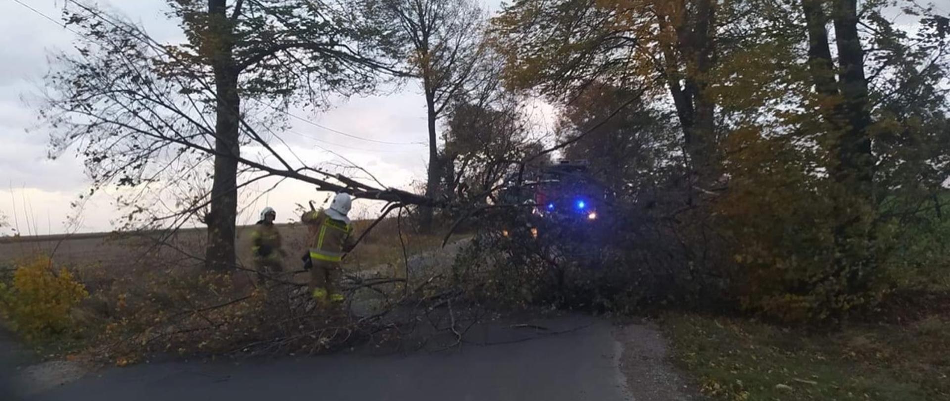 Drzewo przewrócone tarasuje przejazd przez drogę strażacy tną je na kawałki pilarka w tle samochód pożarniczy