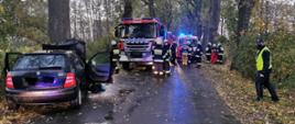 Wypadek koło Karmina. Samochód na prostym odcinku drogi uderzył w drzewo. Ma rozbity przód. Dalej stoją wozy strażackie i karetka a obok niej są strażacy.