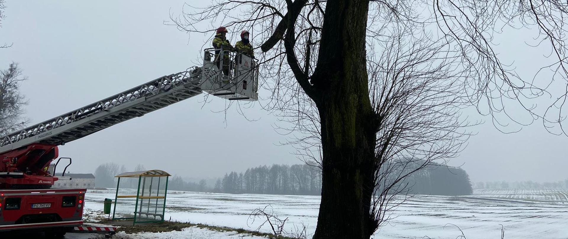 Na zdjęciu widać miejscowe zagrożenie oraz strażaków w akcji 