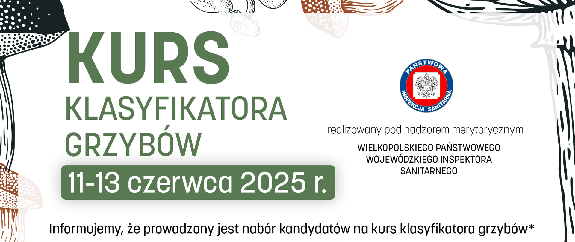 Kurs klasyfikatora grzybów czerwiec 2025