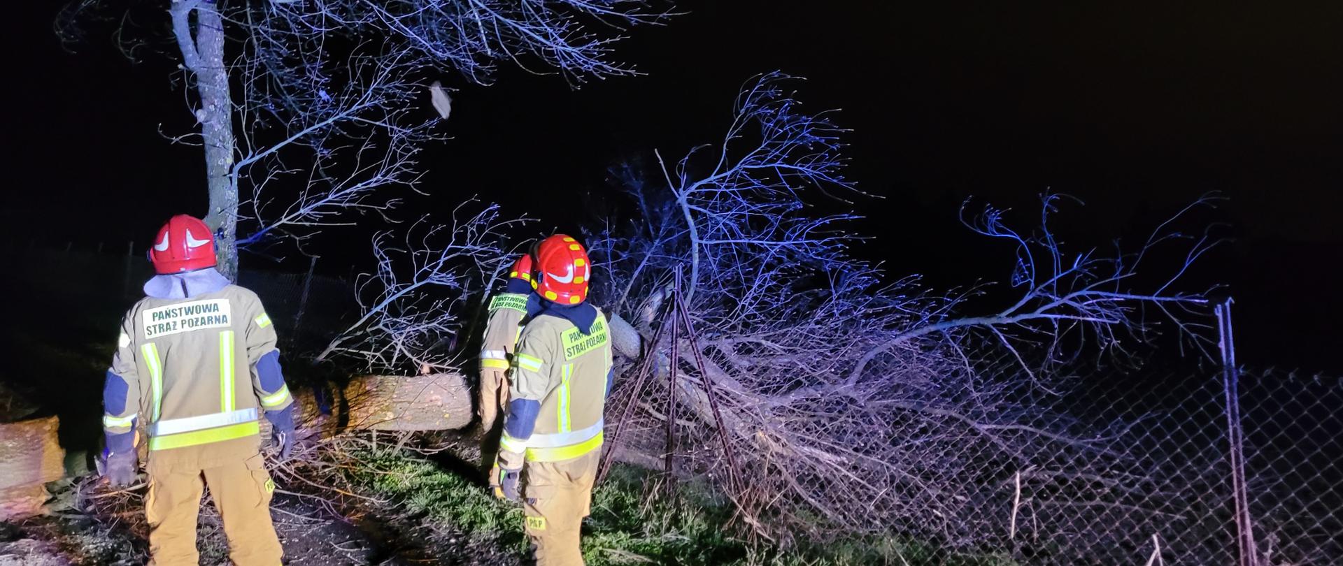 Zdjęcie w porze nocnej. Widać ratowników w ubraniach specjalnych. Oświetlenie sztuczne.