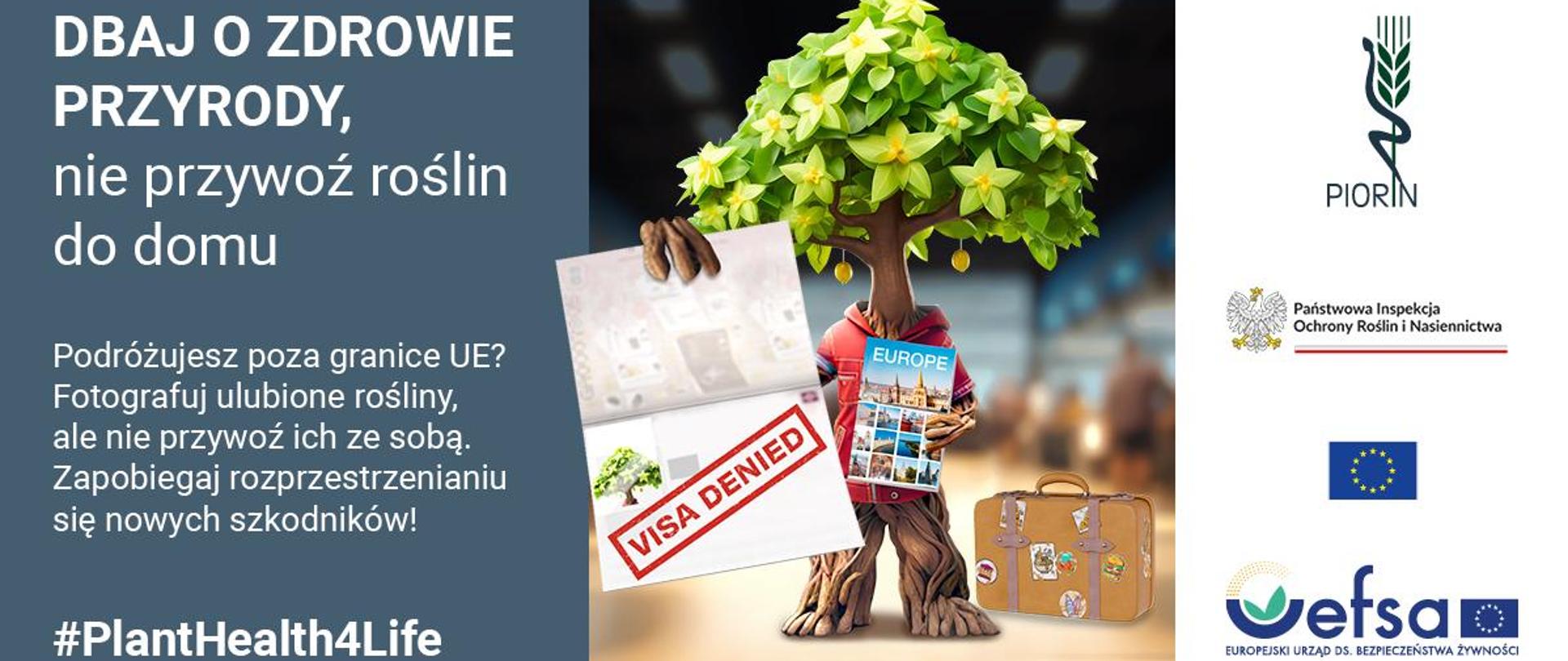 na zdjęciu widnieje drzewko, które trzyma kalendarz i ma obok siebie postawioną walizkę. Na zdjęciu widnieje napis Dbaj o zdrowie przyrody, nie przywoź roślin do domu