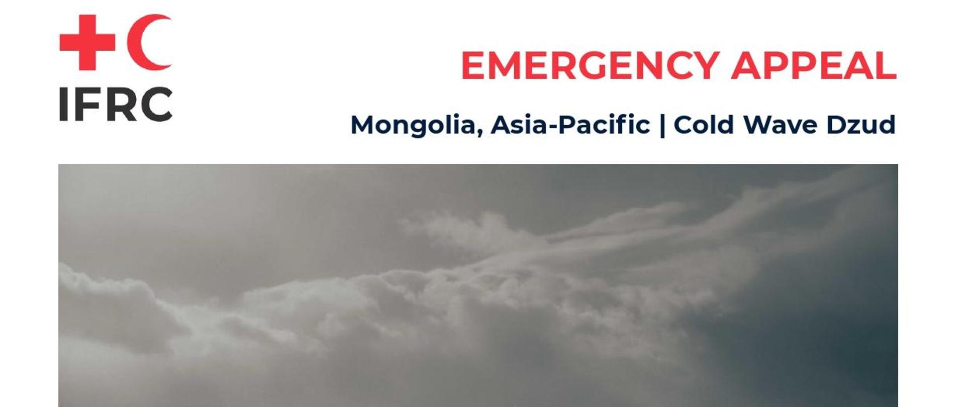 IFRC Emergency Appeal