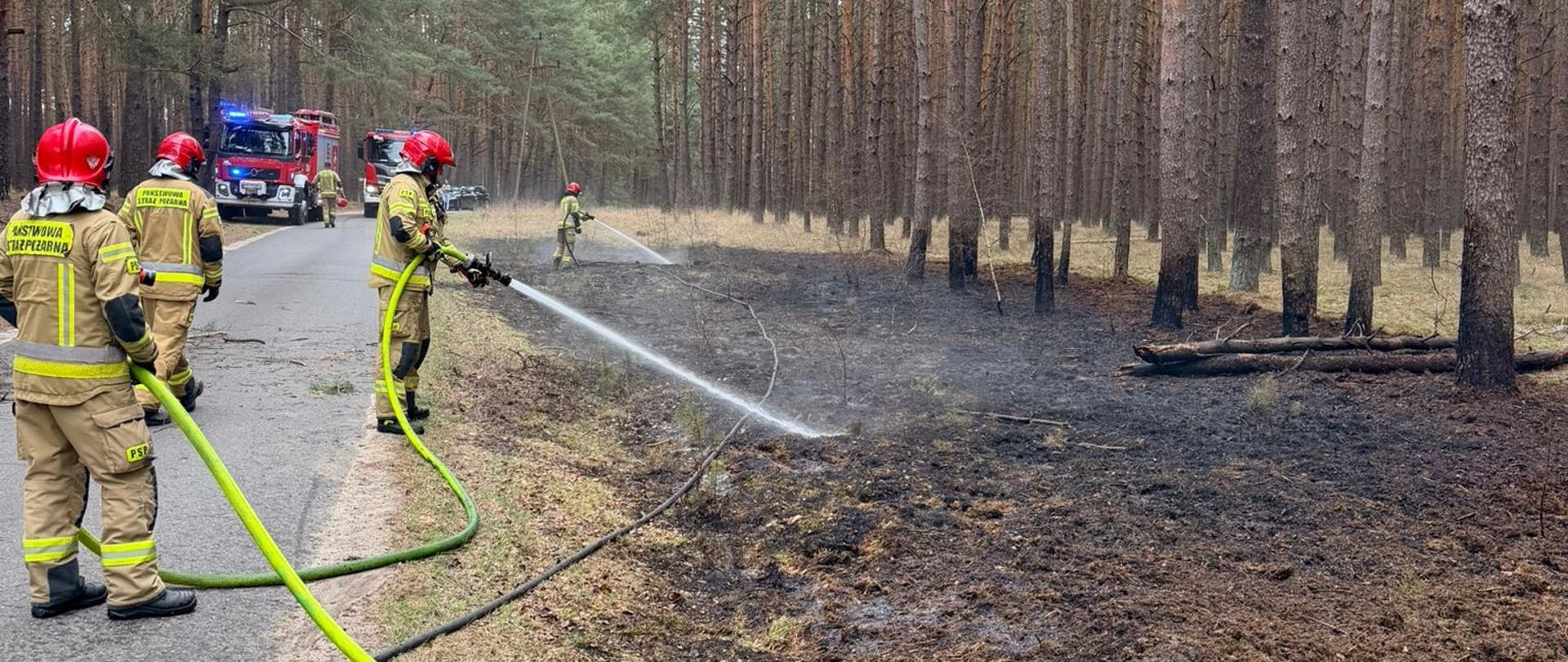 Strażacy gaszą pożar ściółki