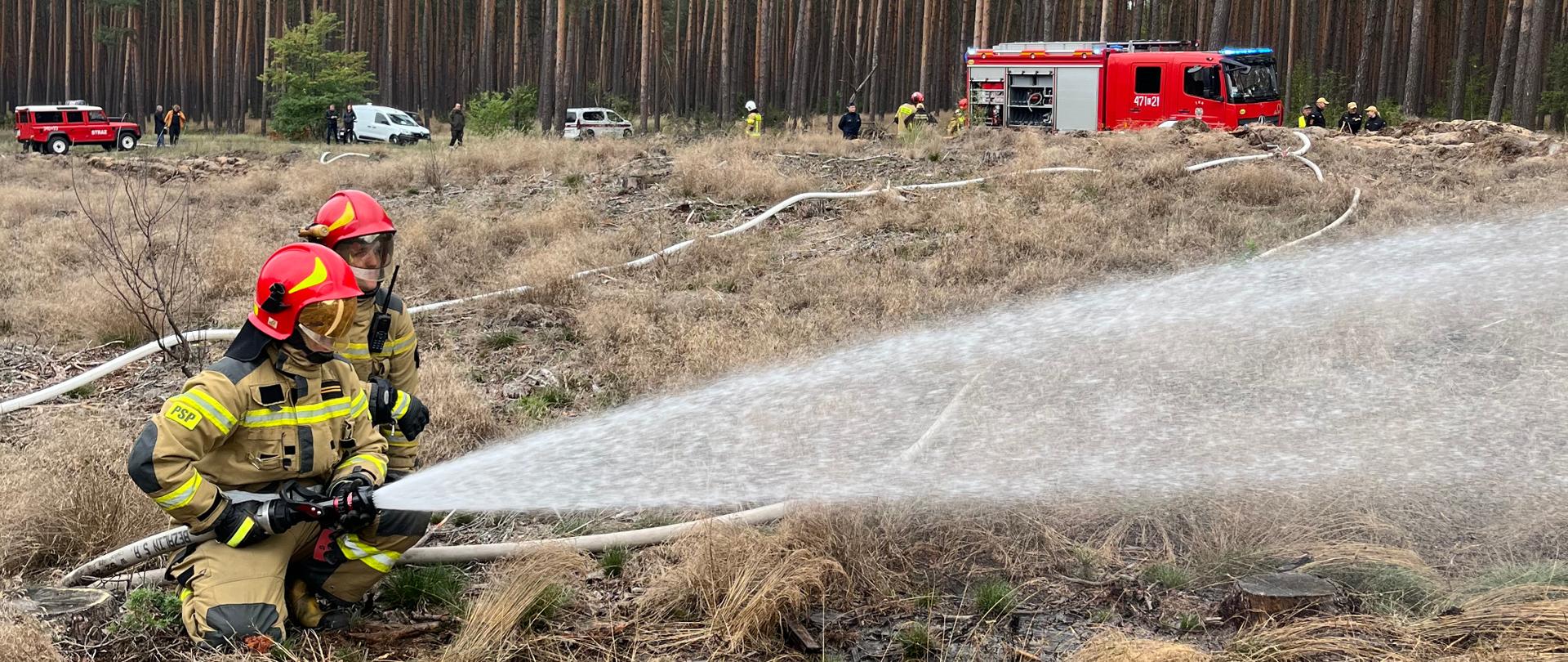 Na zdjęciu strażacy gaszą pożar lasu