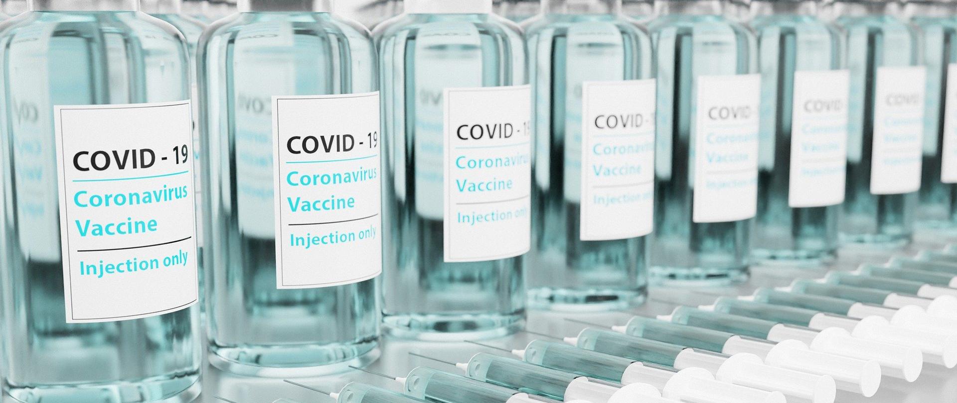rząd fiolek ze szczepionką przeciwko COVID-19.