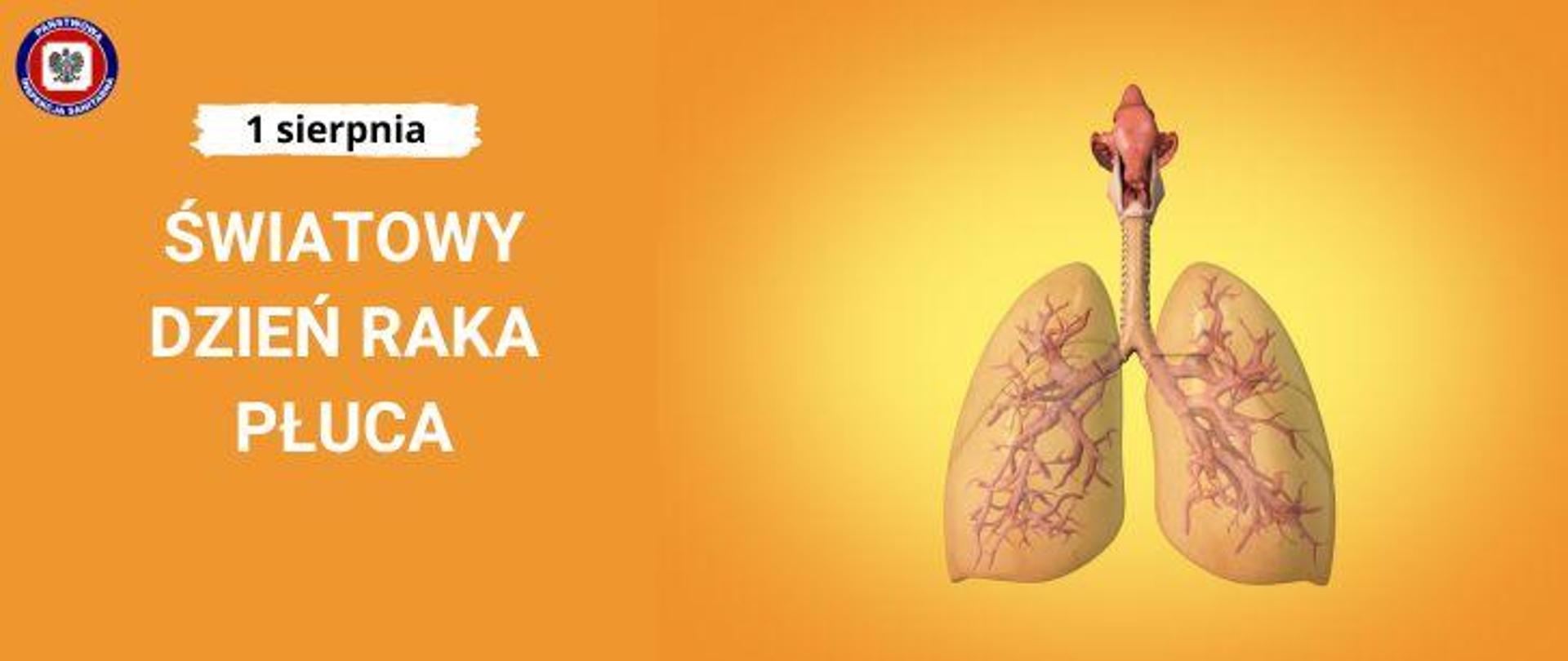 Po prawej na pomarańczowym tle grafika przedstawiająca anatomię płuc, po lewej jasny napis Światowy Dzień Raka Płuca. Powyżej na jasnym polu ciemny napis 1 sierpnia. W lewym górnym rogu logo Państwowej Inspekcji Sanitarnej.
