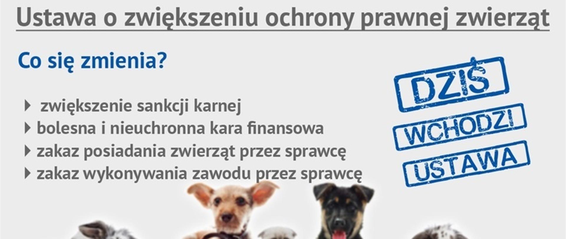 Ustawa o zwiększeniu ochrony prawnej zwierząt