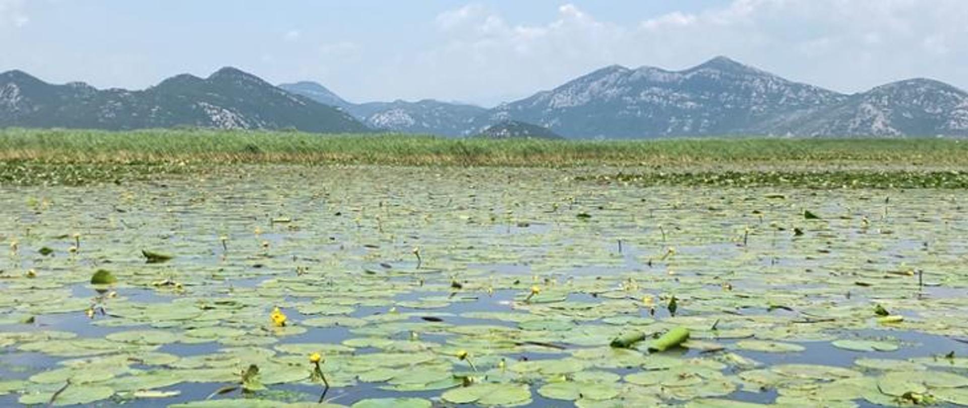 Praktični savjeti za turiste