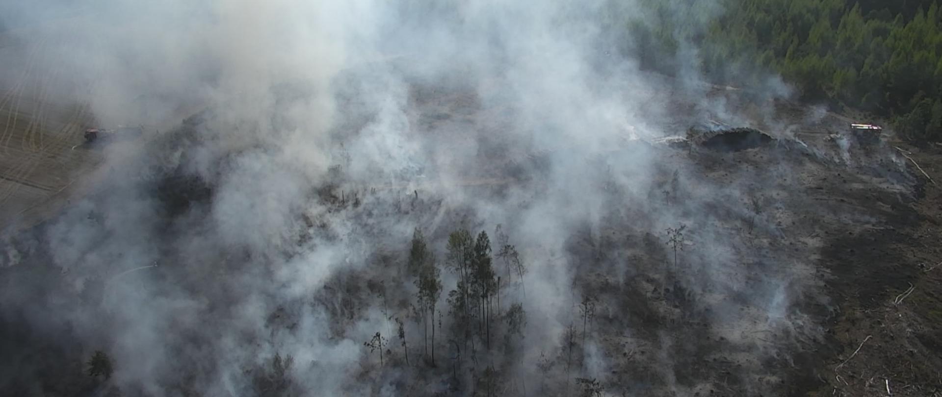 Pożar lasu w okolicach Łazy Małe