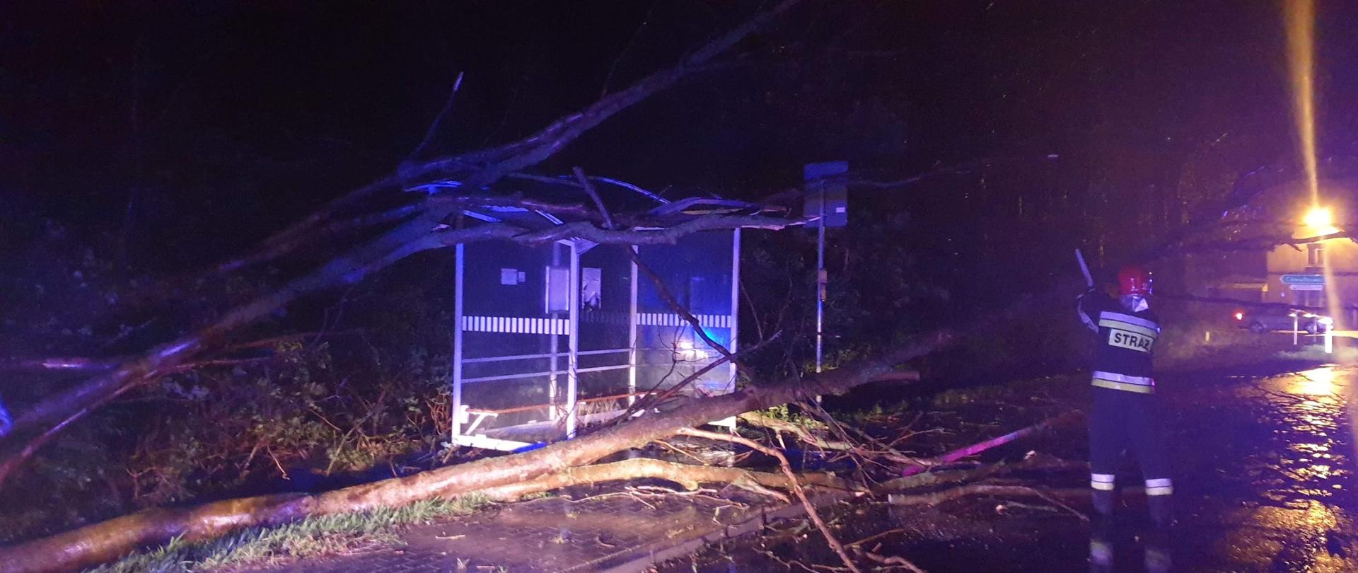 Strażak usuwający powalone drzewo na przystanek autobusowy przy pomocy mechanicznej piły do cięcia drewna