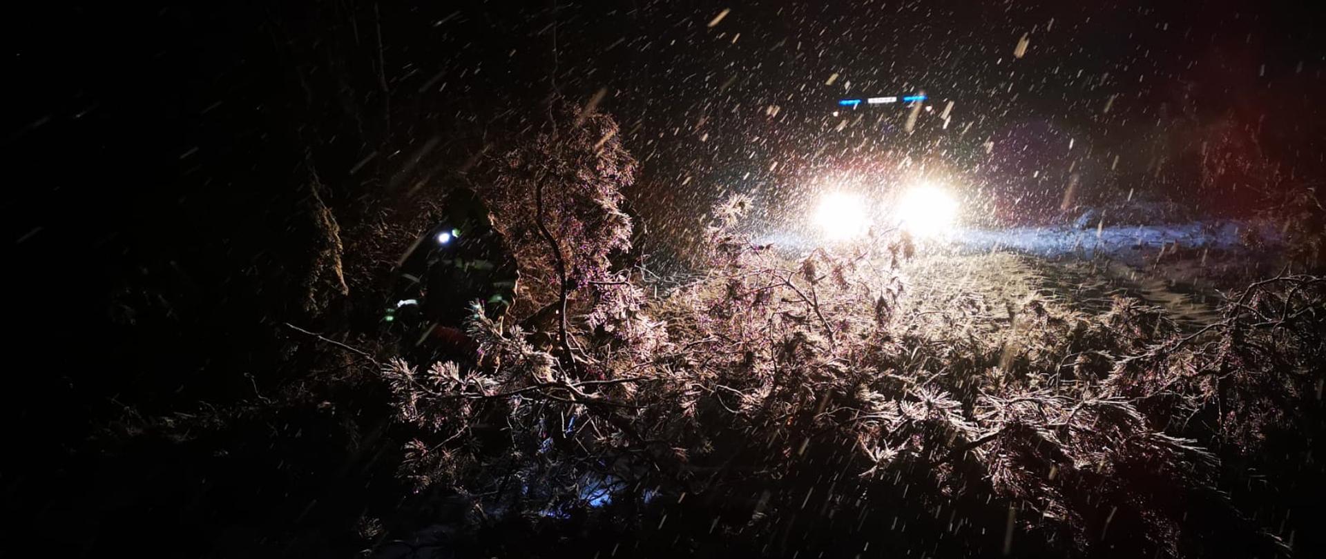 Zdjęcie wykonane w nocy podczas intensywnych opadów śniegu. W tle widoczne światła samochodu pożarniczego oświetlające pole pracy ratowników przy usuwaniu powalonego drzewa tarasującego przejazd na drodze. Na pierwszym planie podświetlona sylwetka leżących gałęzi a lekko po lewej stronie strażak tnący drzewo na mniejsze odcinki. 