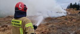 Na zdjęciu strażak gasi wodą palącą się słomę