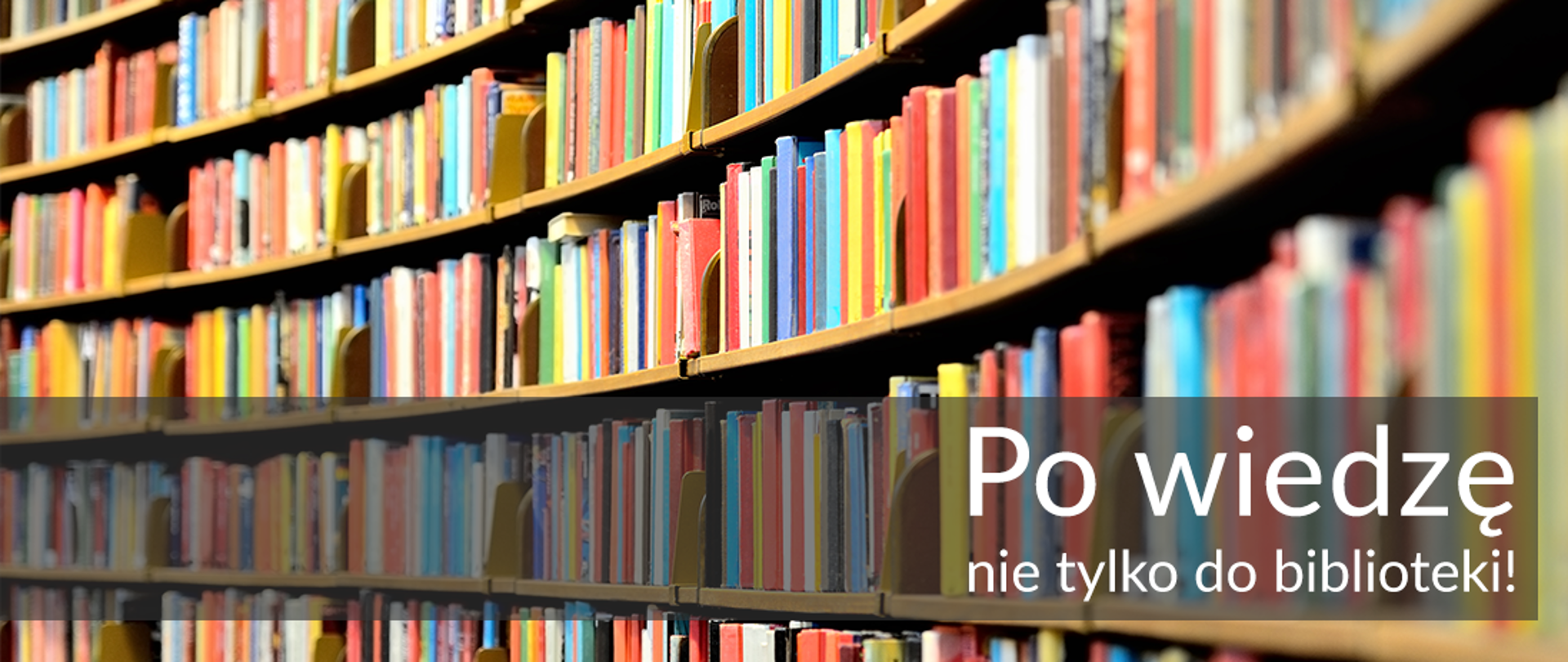 Baner do artykułu - po wiedzę nie tylko do biblioteki