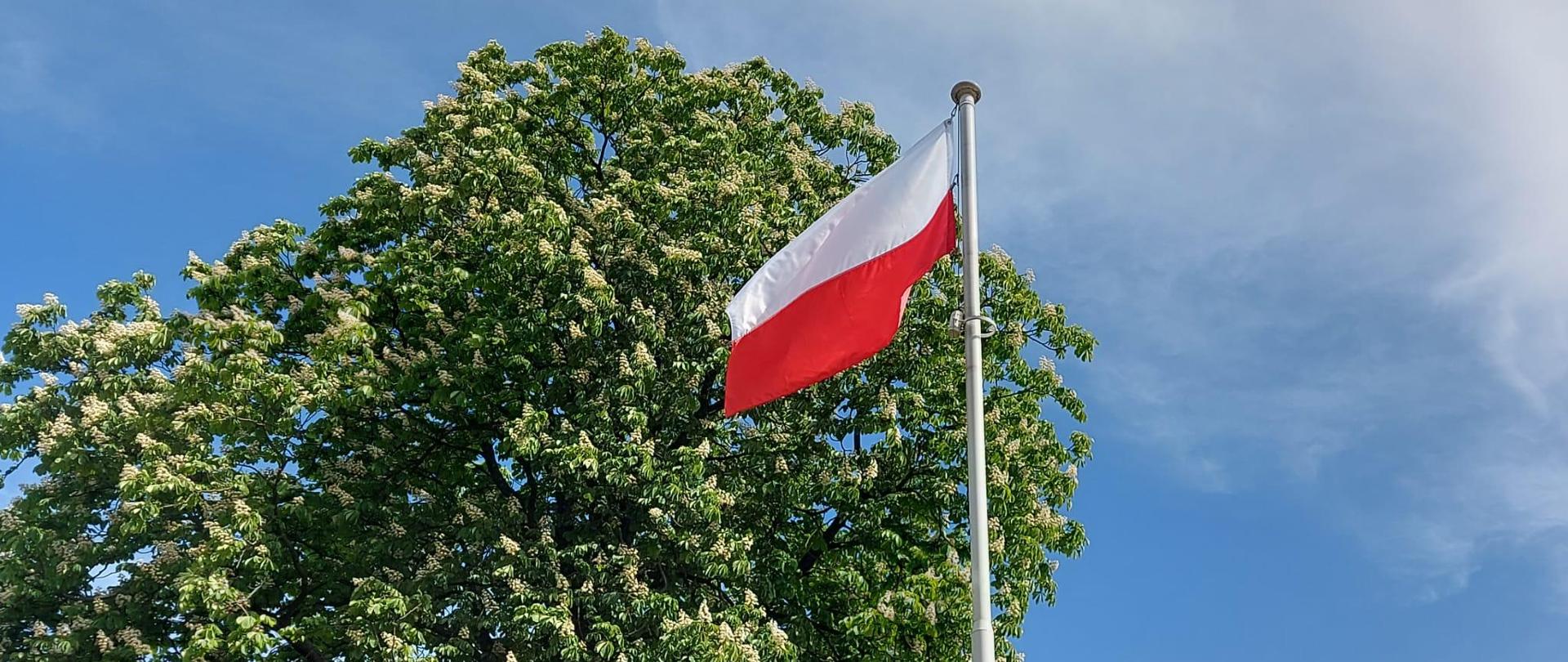 Flaga państwowa na maszcie