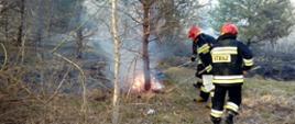 Dwóch strażaków z tłumicami gaszący pożar poszycia leśnego