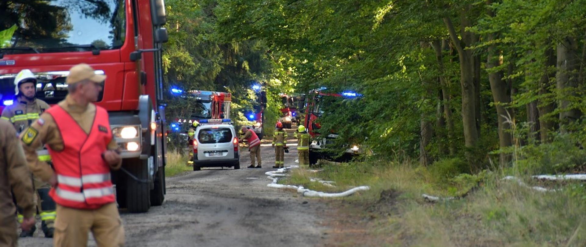 Zdjęcie przedstawia działania straży pożarnej prowadzone na leśnej drodze. Na drodze i wśród drzew znajdują się samochody ratowniczo-gaśnicze z włączonymi niebieskimi światłami ostrzegawczymi oraz ratownicy w ubraniach ochronnych. Wzdłuż drogi rozłożone są odcinki węży pożarniczych. Na pierwszym planie widoczny jest strażak w kamizelce odblaskowej, a w tle kilka pojazdów pożarniczych i grupy ratowników prowadzących działania w kompleksie leśnym