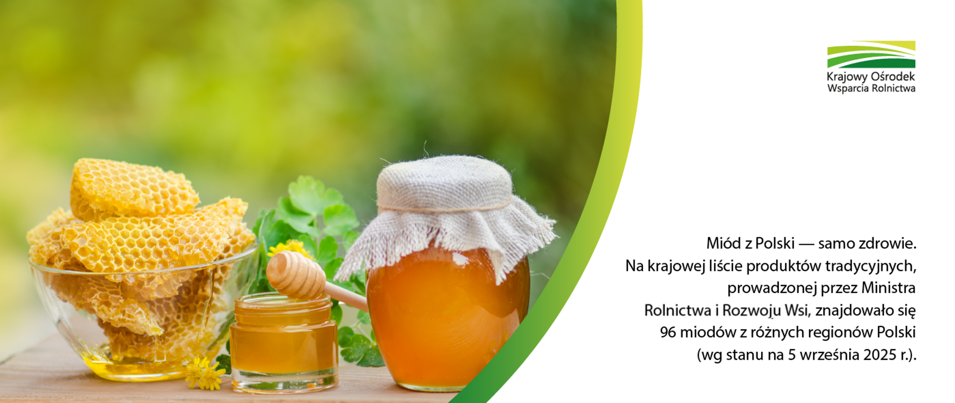 Miód z Polski – samo zdrowie