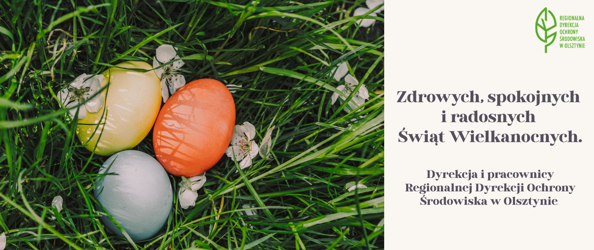 Z lewej strony kolorowe jajka leżące na trawie wśród kwiatów. Z prawej strony Logo Regionalnej Dyrekcji Ochrony Środowiska w Olsztynie (zielony liść), a pod nim życzenia świąteczne: Zdrowych, spokojnych i radosnych Świąt Wielkanocnych. Dyrekcja i pracownicy Regionalnej Dyrekcji Ochrony Środowiska w Olsztynie.