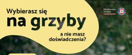 kobieta trzymająca w rękach trzy grzyby, w tle poszycie lasu. 