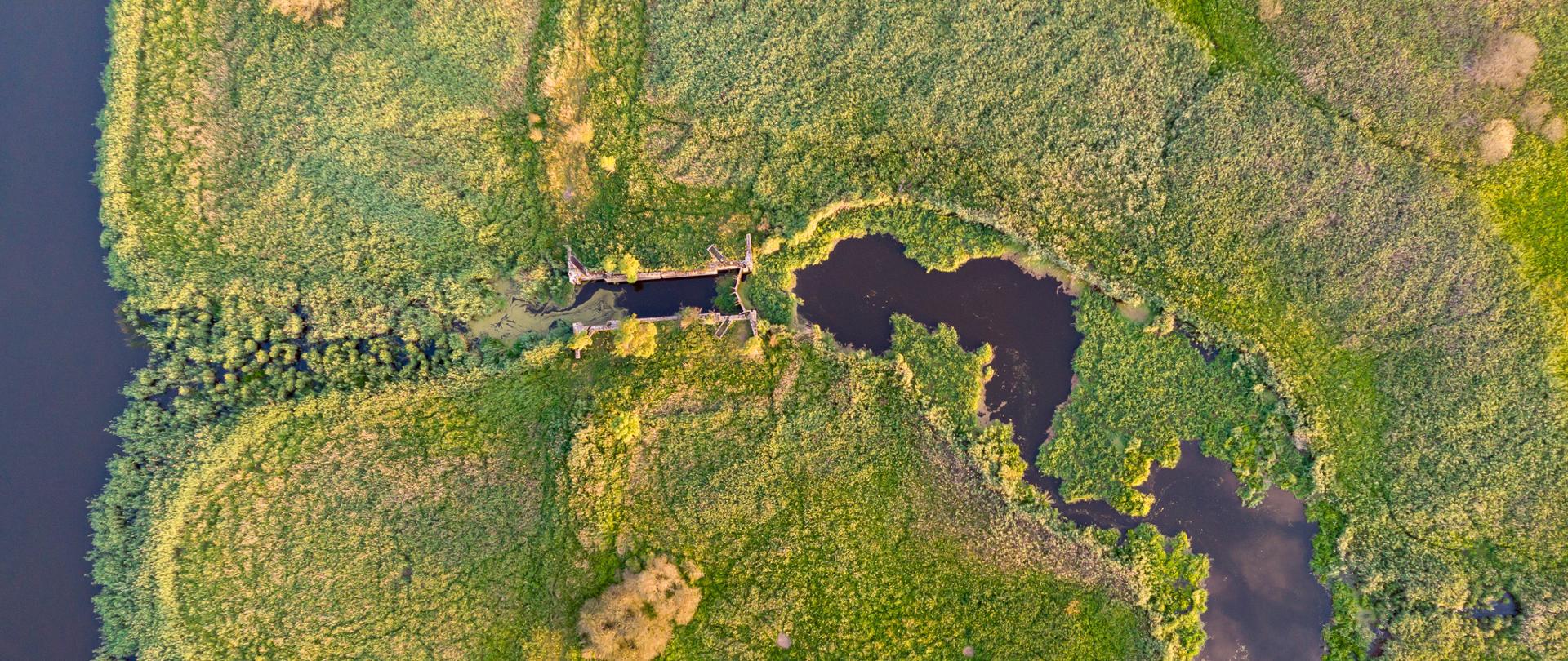 Projektowany Park Narodowy Doliny Dolnej Odry