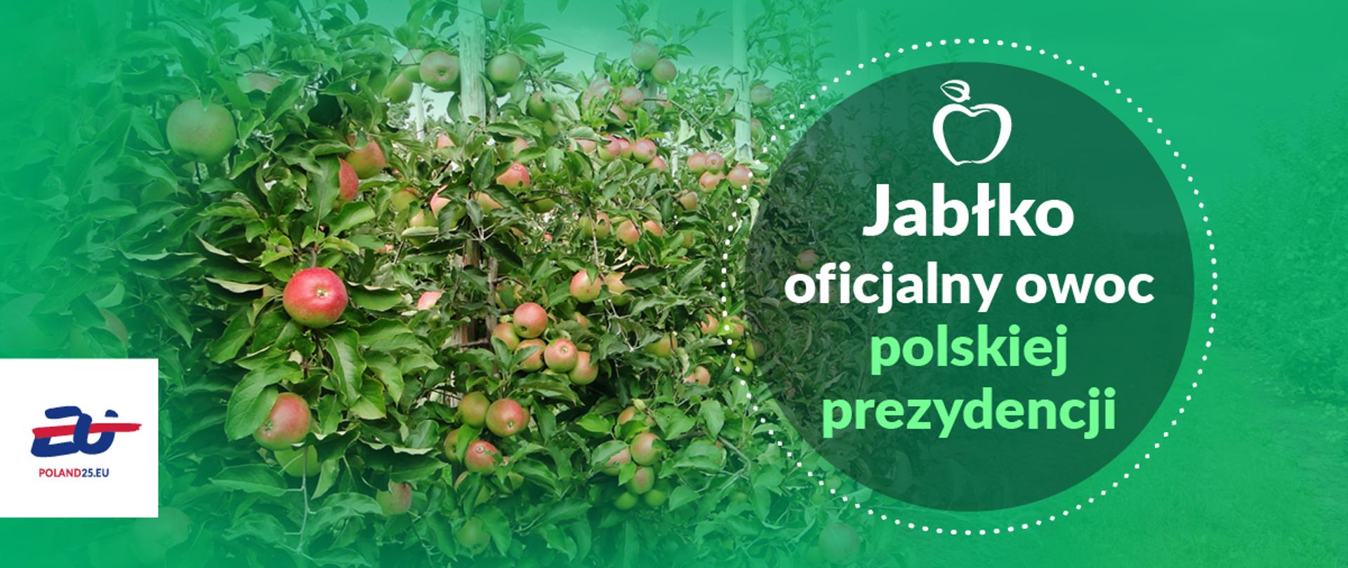 Jab ko Duma Polskiego Sadownictwa I Oficjalny Owoc Prezydencji 