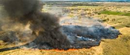 Pożar trawy w powiecie pińczowskim.