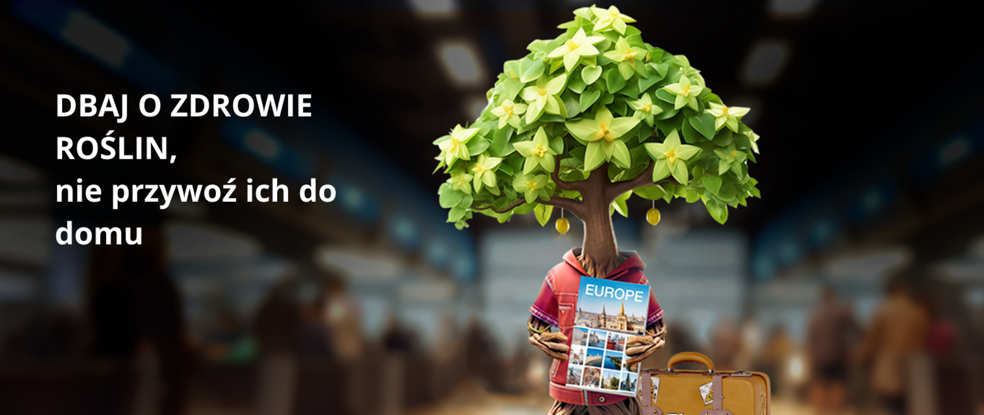 Dbaj o zdrowie roślin, nie przywoź ich do domu. #PlantHealth4Life
Po prawej stronie zdjęcie drzewa ubranego w podkoszulkę, stojącego na lotnisku, przy nim stoi walizka