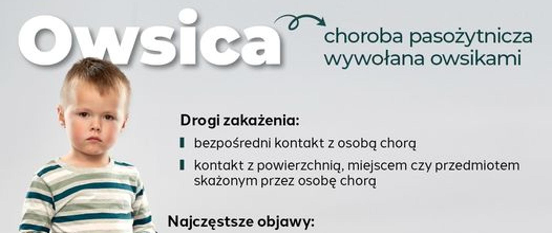 Owsica