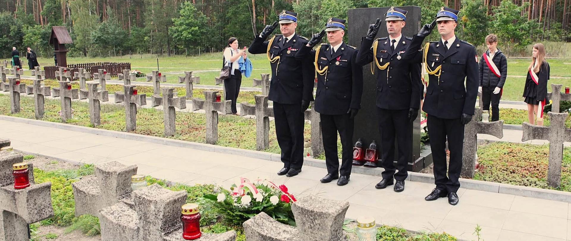 Na pierwszym planie zdjęcia widoczne są rzędy kamiennych krzyży cmentarnych z imiennymi tabliczkami i palącymi się czerwonymi zniczami na terenie Cmentarza-Mauzoleum w Palmirach. W środkowej części kadru, przed czarnym pomnikiem z ułożonym wieńcem o biało-czerwonej szarfie, w równym szeregu stoi czterech oficerów Państwowej Straży Pożarnej w galowych czarnych mundurach i rogatywkach, salutujących prawą dłonią. W tle przy sosnowym lesie stoją harcerze oraz poczty sztandarowe w chłodny, pochmurny dzień. Ze zdjęcia emanuje silny przekaz honoru, patriotyzmu oraz cichej pamięci o poległych.