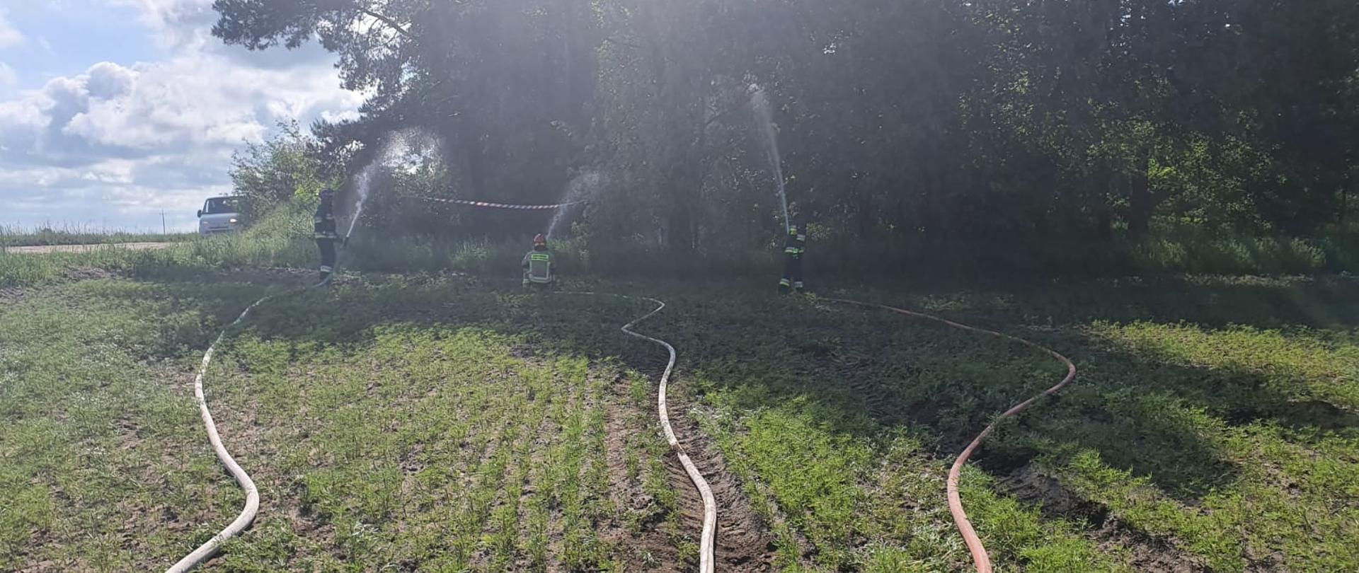 Na zdjęciu widać rozwinięte 3 linie gaśnicze w trakcie ćwiczeń w miejscowości Mirakowo. W tle zdjęcia widać 3 strażaków gaszących pozorowany pożar lasu.