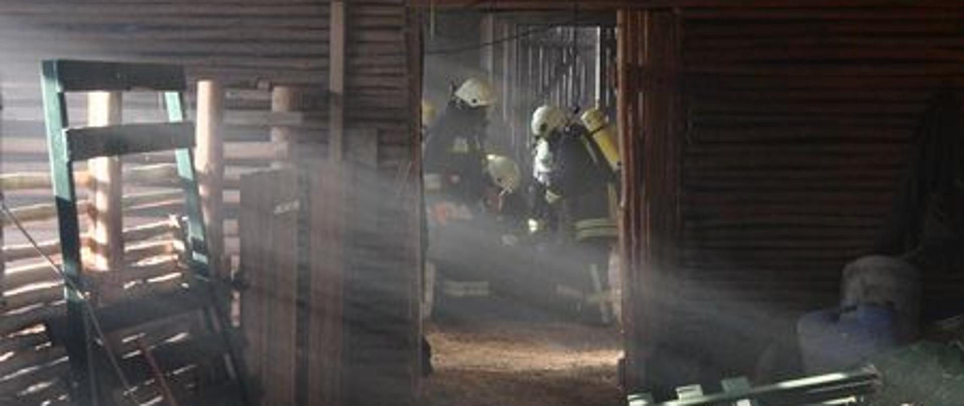 Zdjęcie przedstawia linię gaśniczą i strażaków