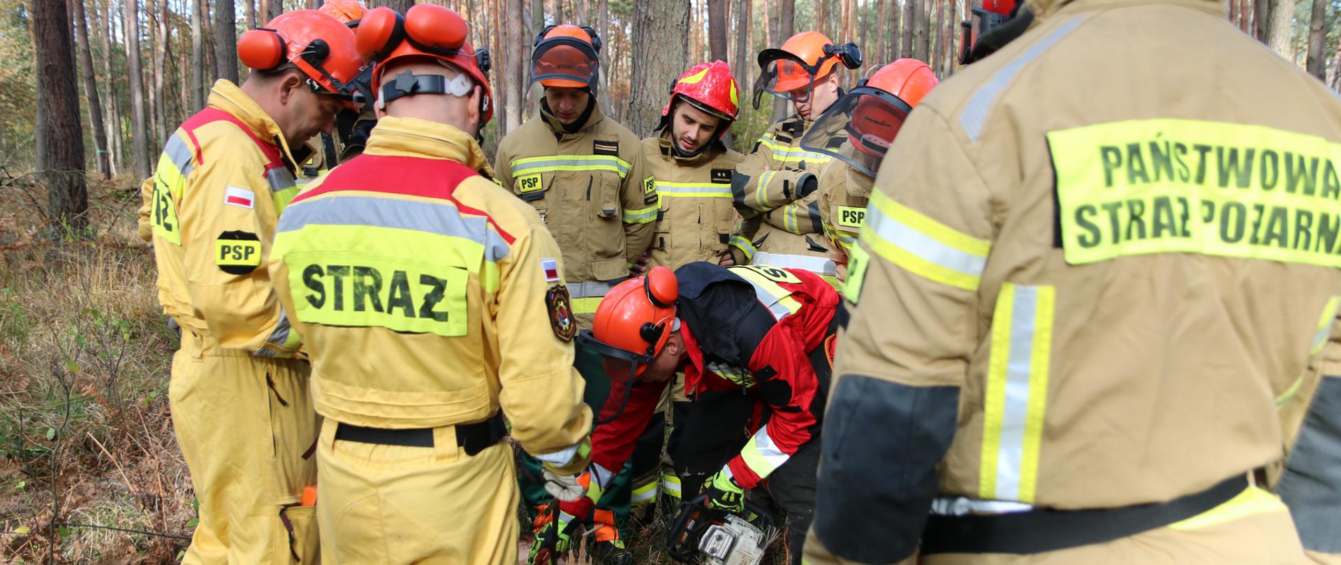 Grupa biorących udział w szkoleniu strażaków w żółtych i czerwonych kombinezonach pochylający się nad pniem ściętego drzewa. Na głowach mają kaski wraz z nausznikami oraz hełmy. instruktor coś pokazuj palcem wskazującym prawej ręki, w lewej trzyma pilarkę. 