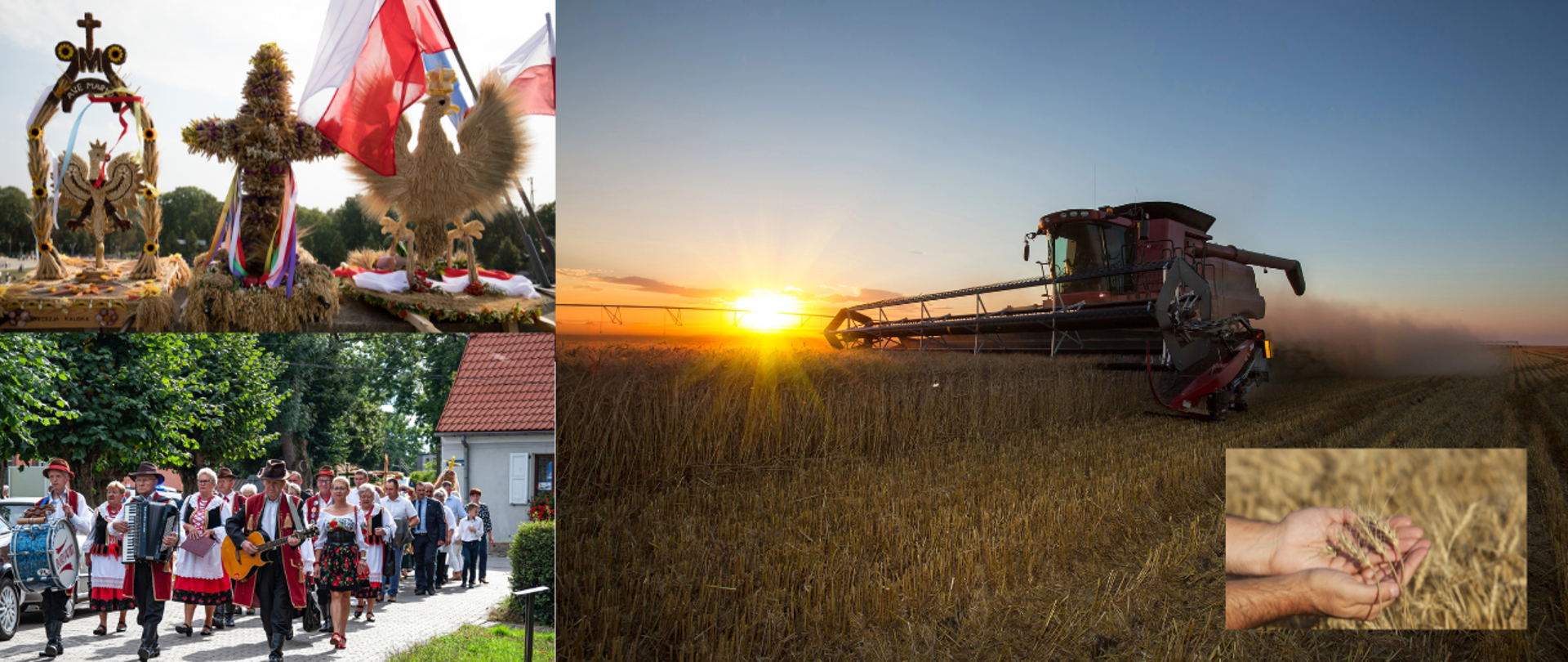 Pierwsze zdjęcie - wieńce dożynkowe. Drugie zdjęcie - procesja podczas uroczystości dożynkowej. Trzecie zdjęcie - kombajn koszący zboże. Czwarte zdjęcie - ręce trzymające źdźbła zboża.