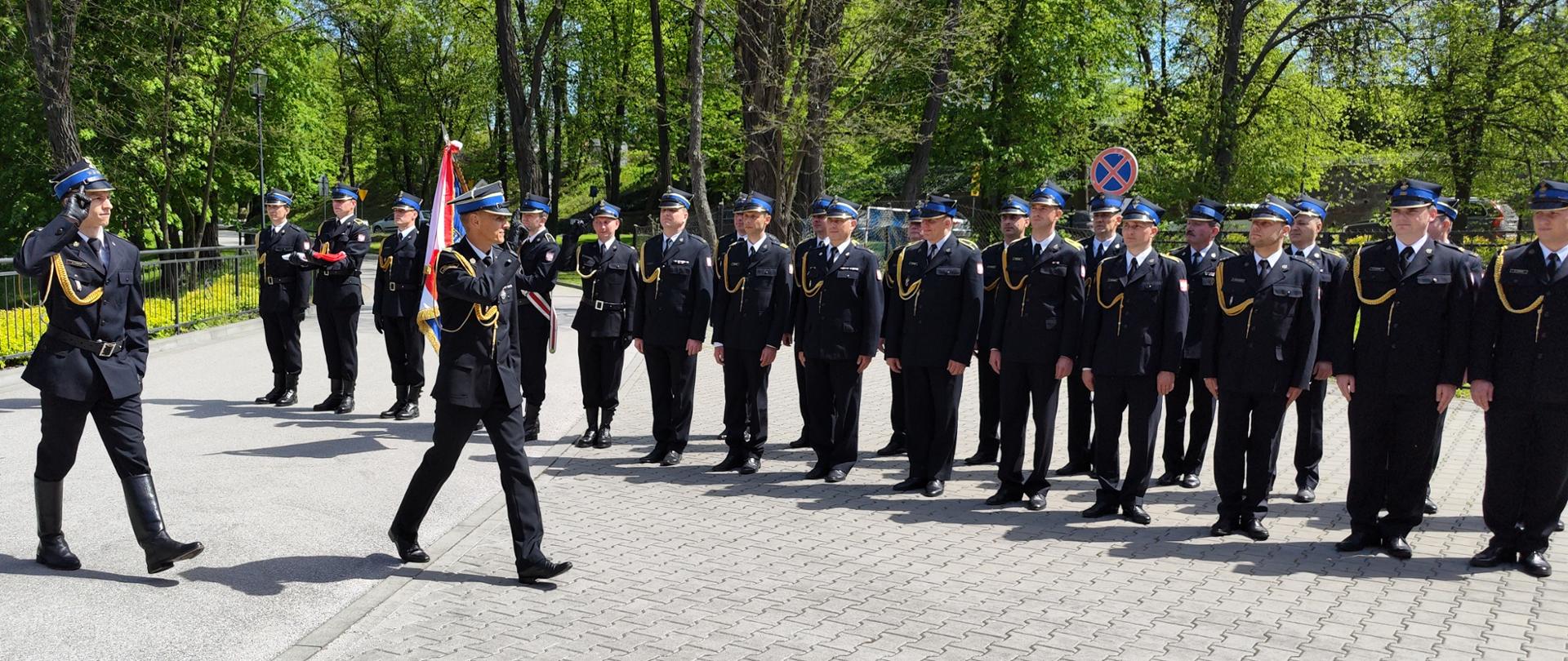 Przegląd pododdziałów