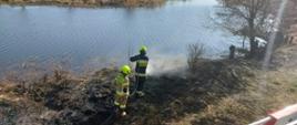 pożar trawy na skarpie cieku wodnego dwóch strażaków gasi pożar po prawej stronie krzaki i drzewo w oddali inne drzewa oraz łąki