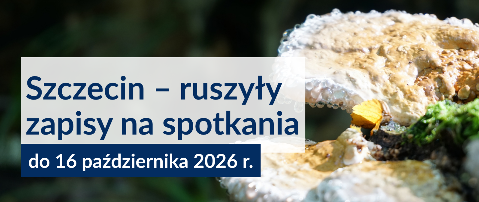 28_Szczecin_–_ruszyły_zapisy_na_spotkania