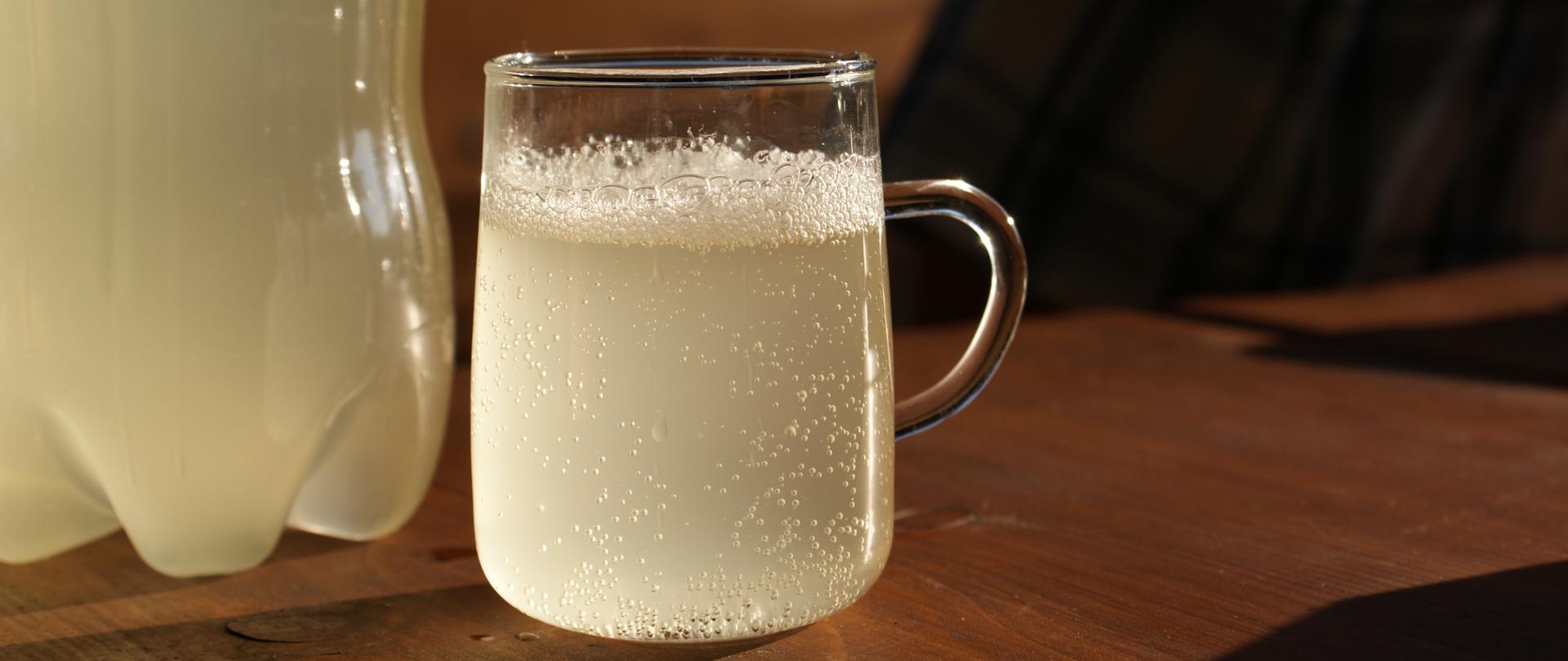 napój z czarnego bzu