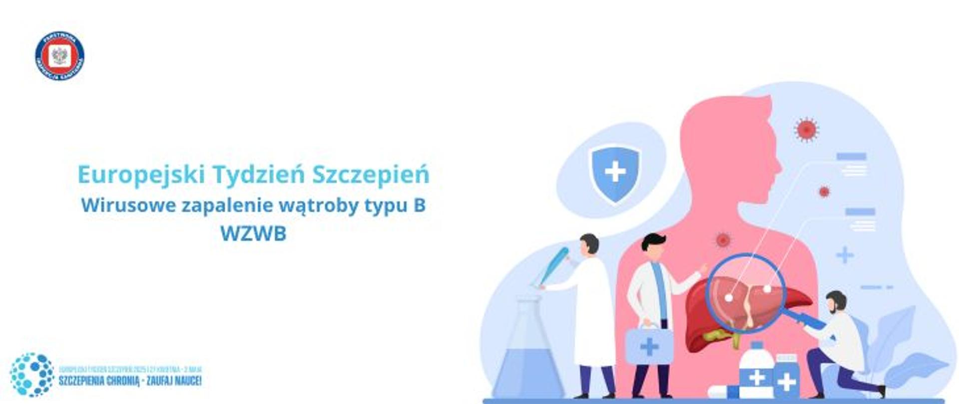 Na jasnym tle po prawej grafika w odcieniach niebieskim, różowym, białym przedstawiająca profil człowieka z zaznaczona wątrobą. Wokół lekarze w białych kitlach dokonujący badania człowieka i wątroby. Po lewej stronie napis w odcieniach koloru niebieskiego Europejski Tydzień Szczepień. wirusowe zapalenie wątroby typu B WZWB. W lewym dolnym rogu niebieskie logo europejskiego tygodnia sczepień 2025. W lewym górnym rogu okrągłe logo Państwowej Inspekcji Sanitarnej przedstawiające czarnego orła na białym kwadratowym tle, które otoczone jest czerwonym wypełnieniem. Zewnętrzną część logo otacza granatowy okrąg z napisem Państwowa Inspekcja Sanitarna w kolorze białym.