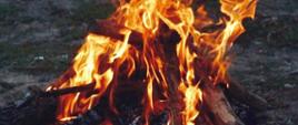 fotografia przedstawia płonące ognisko