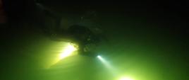 NURKOWANIE W PORZE NOCNEJ. Na zdjęciu nurek podczas nurkowania w wodzie, widać jego sylwetkę oświetloną latarkami