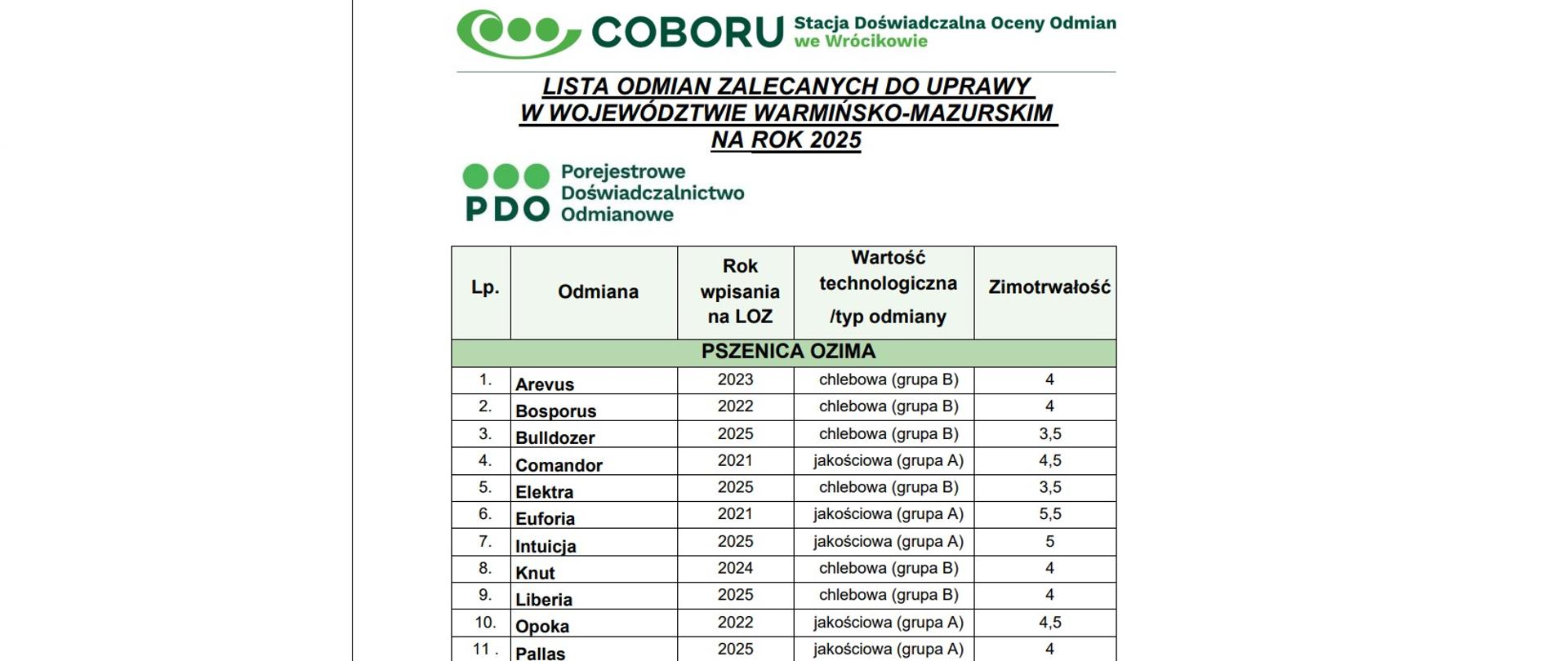 Wycinek opublikowanej listy odmian. U góry logo COBORU i tytuł Tabeli Lista Odmian, pod spodem tabela w pięciu kolumnach: Lp, odmiana, rok, wartość technologiczna, zimotrwałość