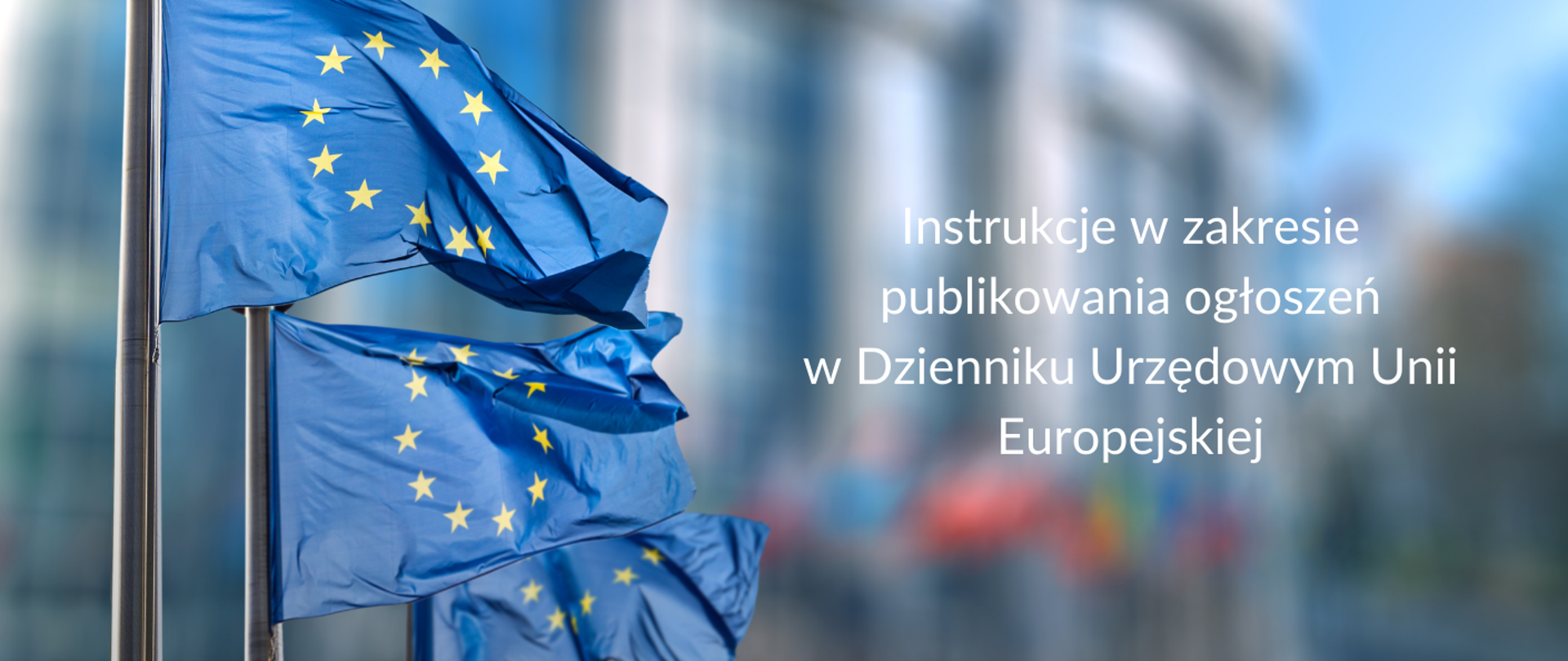 Instrukcje w zakresie publikowania ogłoszeń w DUUE