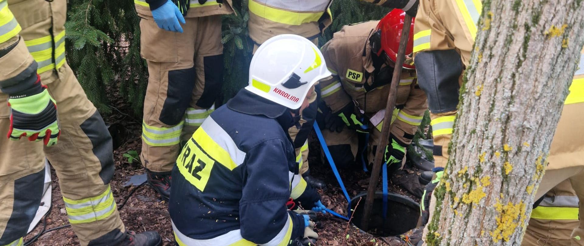 Zdjęcie przedstawia ratowników pochylonych nad niewielkim wyłazem prowadzącym do komory gdzie utknęło kalekie zwierzę.