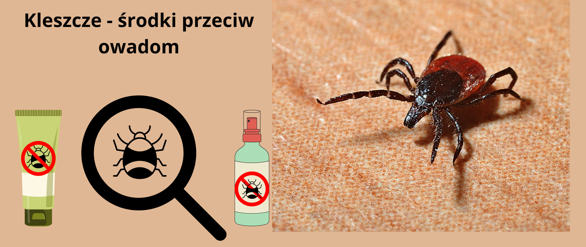Kleszcze_-_środki_rzeciw_owadom